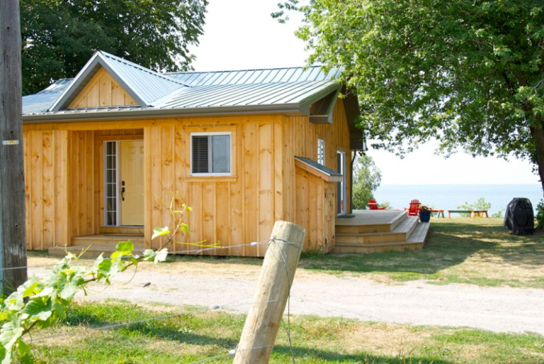 1 ffed2e1ad69b92fc0df8dc5582b67b8e 768x513