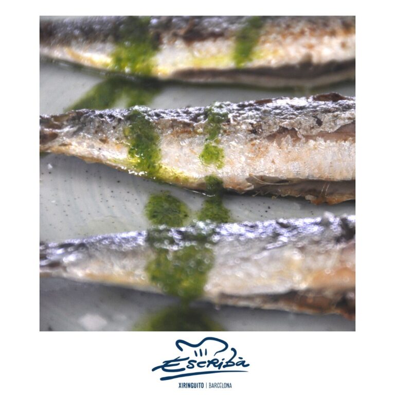 169639627 5535606256456955 3318489901523098562 n 1 768x768