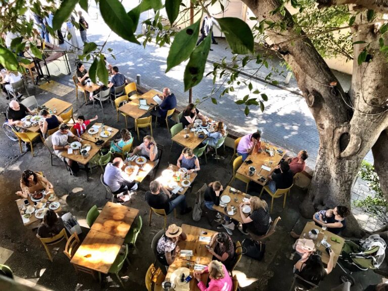 bird s eye view 1 768x576