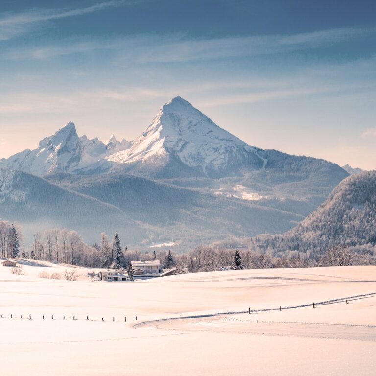 default avatar 2020 26 1 768x768