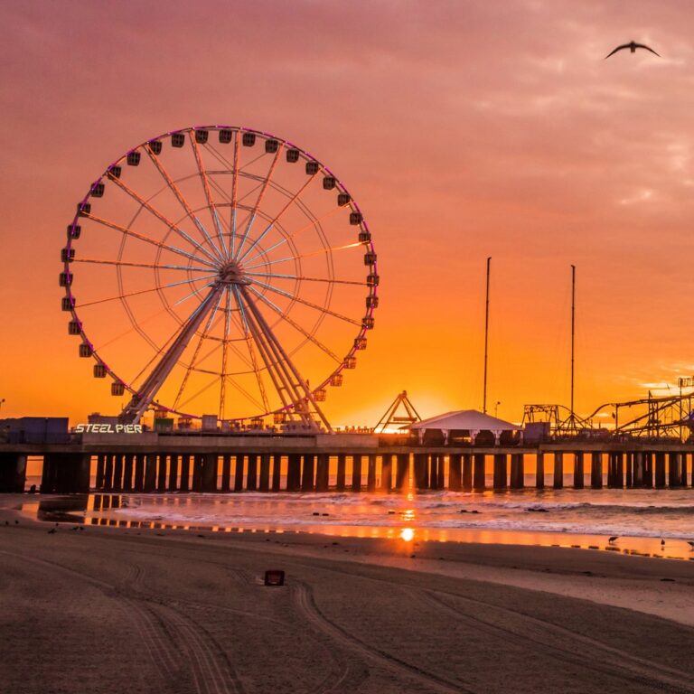 default avatar 2020 69 1 768x768