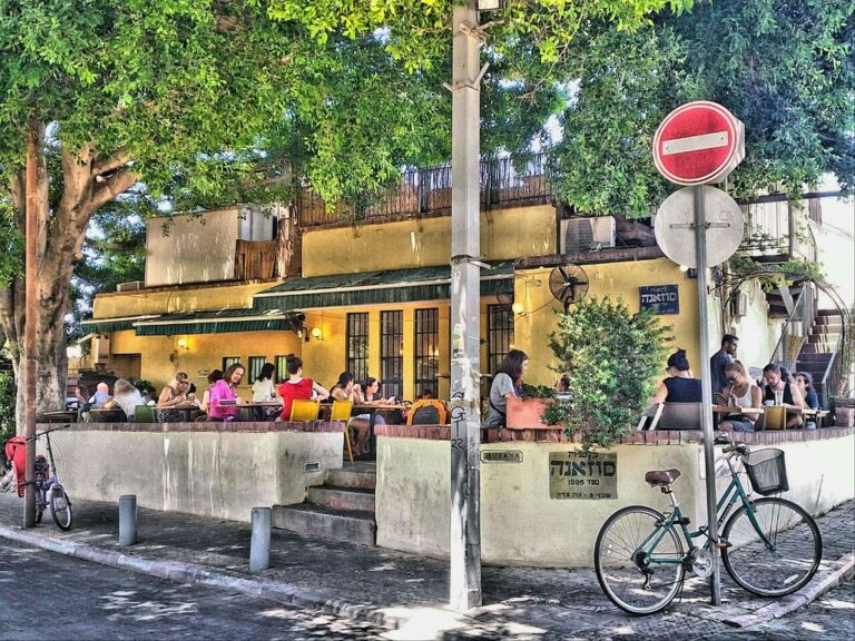 magical shaded terrace 1 768x576