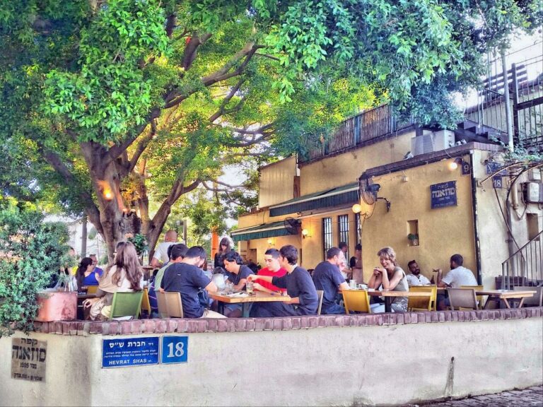 magical terrace 1 768x576