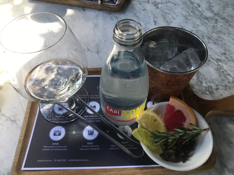 tipsy bull gin tasting 1 768x576