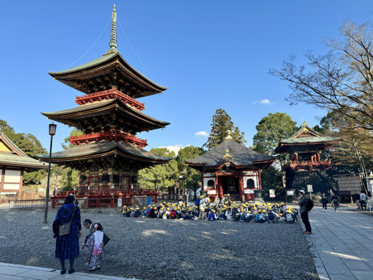 2023 12 072 2 768x576