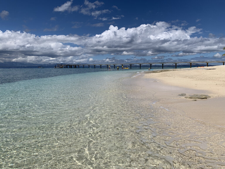 2023 12 07mlml 1 768x576