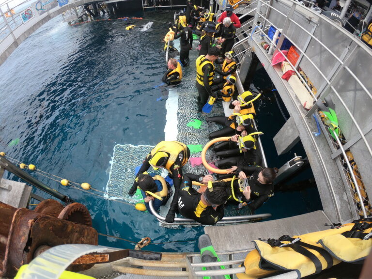 GPTempDownload 768x576